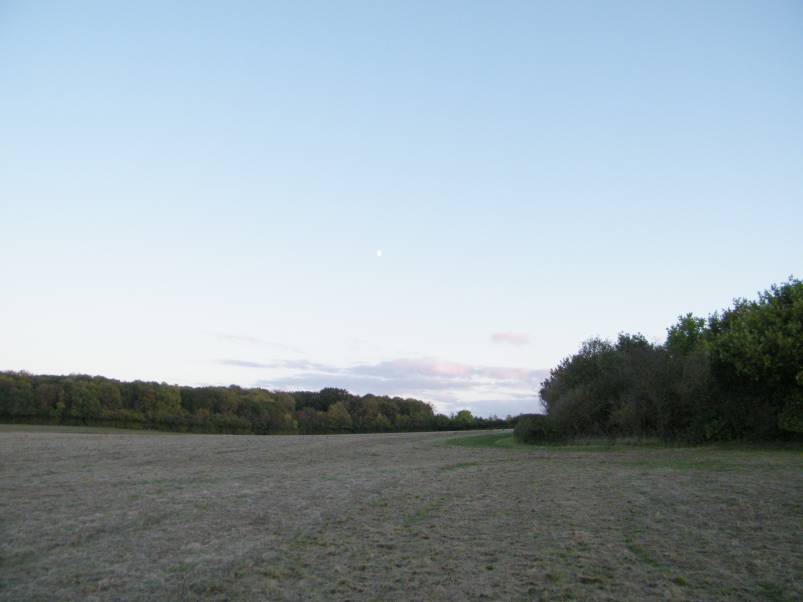 Stetchworth Ley - Icknield Way