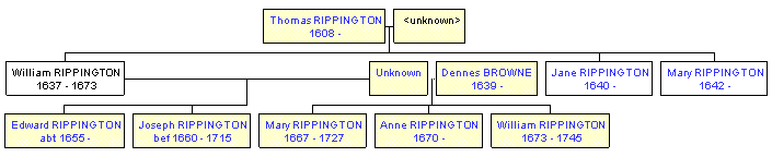 Mini tree diagram