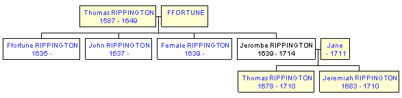 Mini tree diagram