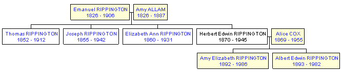 Mini tree diagram