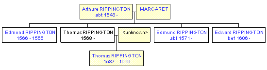 Mini tree diagram