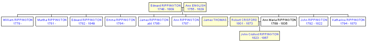 Mini tree diagram