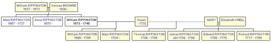 Mini tree diagram