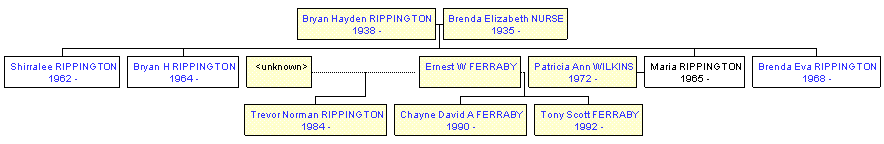 Mini tree diagram