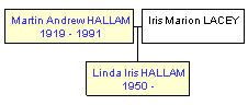 Mini tree diagram