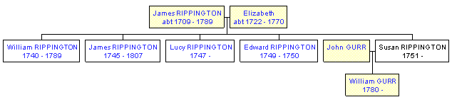 Mini tree diagram