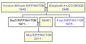 Mini tree diagram