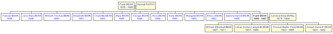 Mini tree diagram