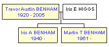 Mini tree diagram