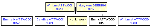 Mini tree diagram