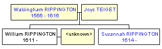 Mini tree diagram