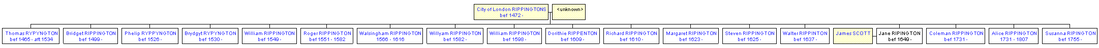 Mini tree diagram