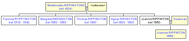 Mini tree diagram