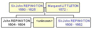 Mini tree diagram