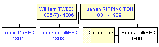 Mini tree diagram