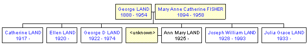 Mini tree diagram