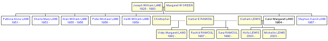 Mini tree diagram