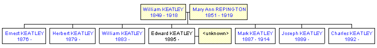 Mini tree diagram