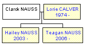 Mini tree diagram