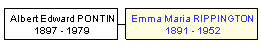 Mini tree diagram