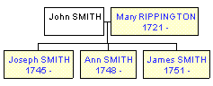 Mini tree diagram