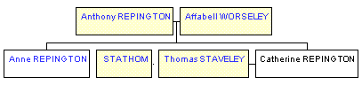 Mini tree diagram