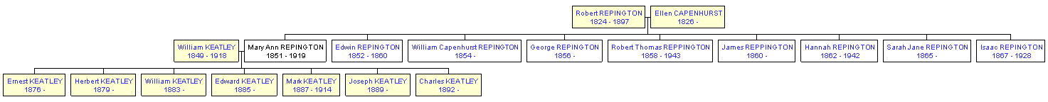 Mini tree diagram