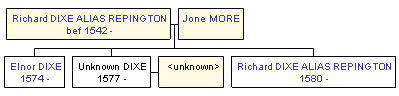 Mini tree diagram